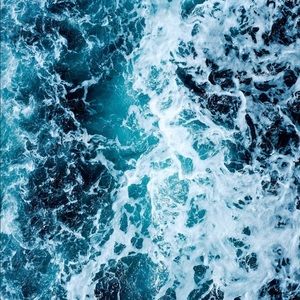 Meet your Posher, Tori